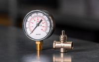 ME Button Valve 1/4 inch